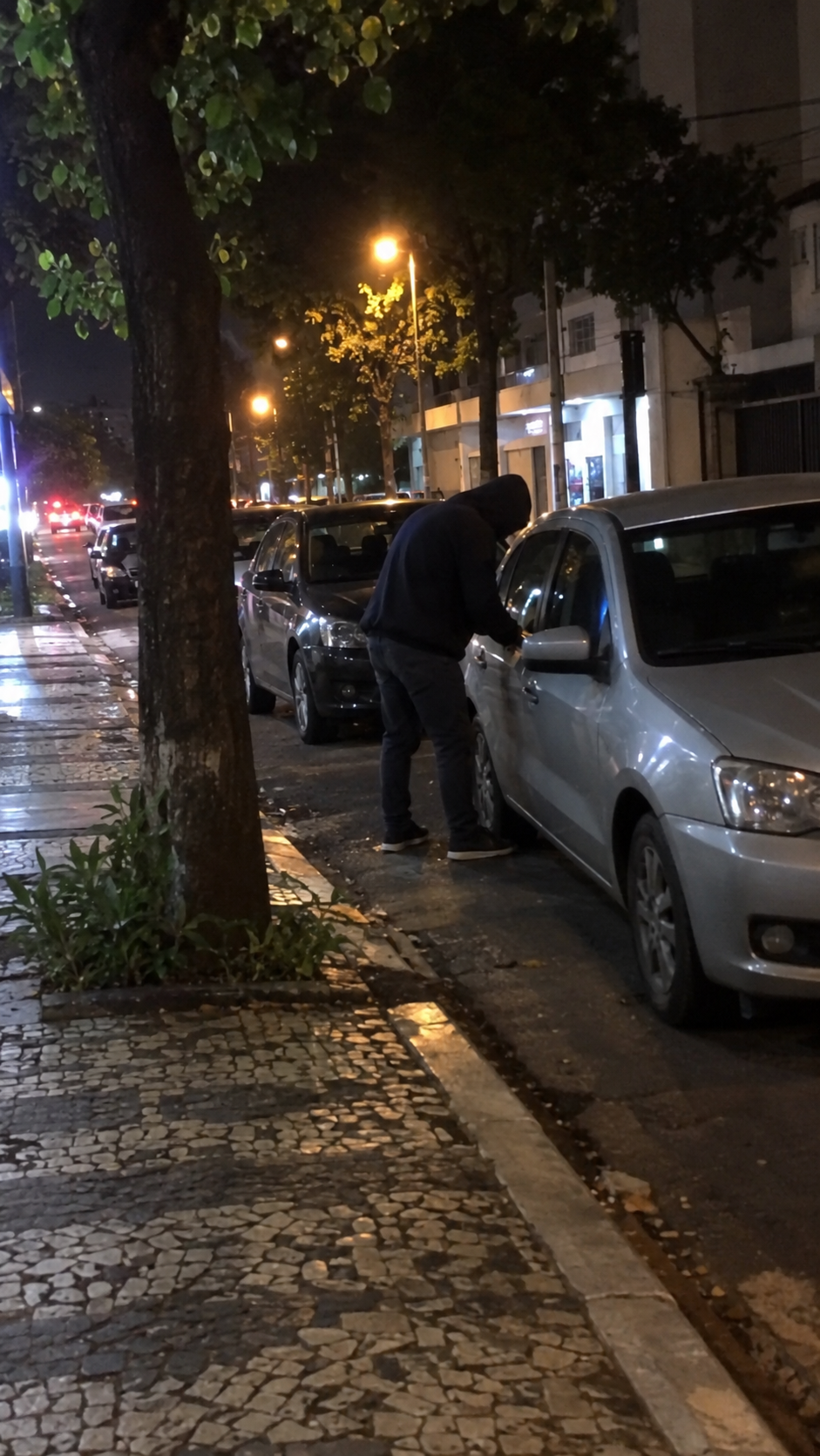 Filmagem pelo aplicativo mostrando tentativa de furto do veículo